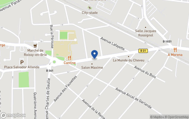 laforet - alain lambour immobilier
